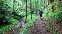 Blick auf die Wanderstrecke entlang des Eselsteiggrabenbachs 